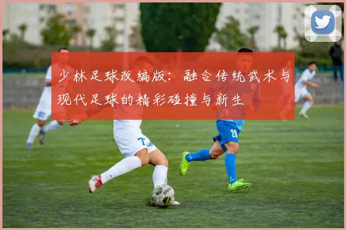 少林足球改编版：融合传统武术与现代足球的精彩碰撞与新生