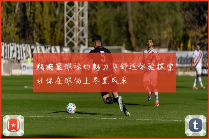 鹈鹕篮球袜的魅力与舒适体验探索让你在球场上尽显风采